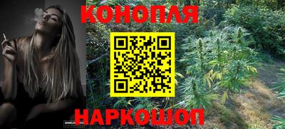 шишки Азнакаево