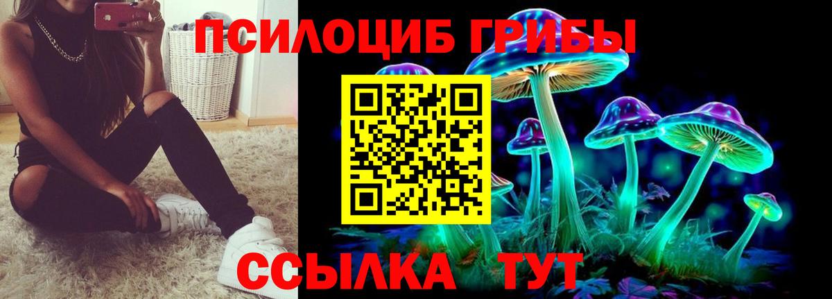 Псилоцибиновые грибы Psilocybe Алушта